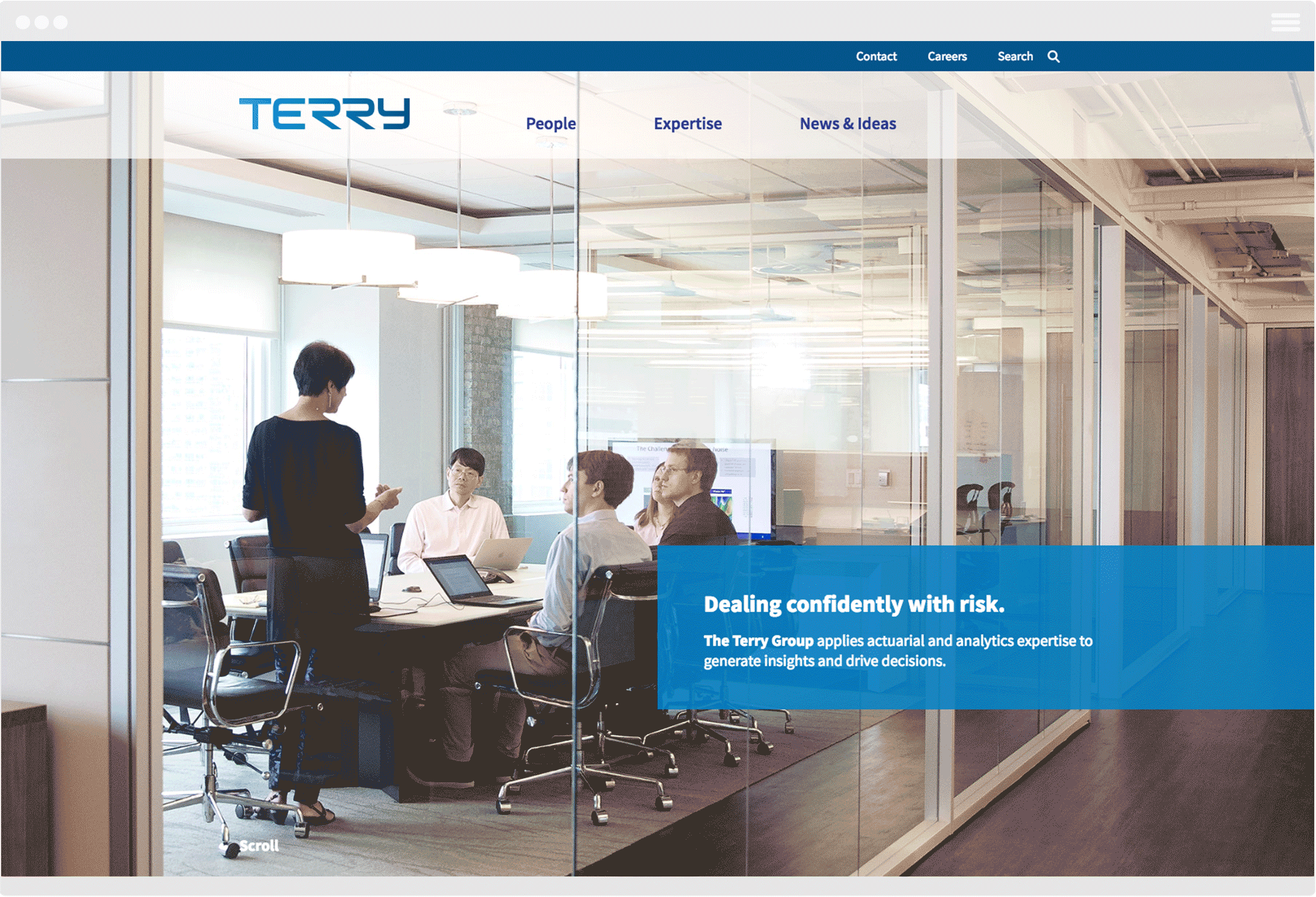 The Terry Group website and branding